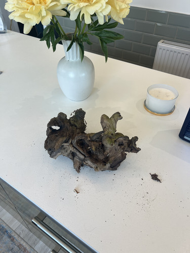 Large aquarium driftwood - aquarium,