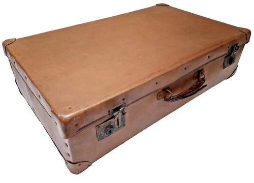 Vintage antler steamer trunk - antler,