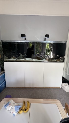 Red sea 750xxl - full, up