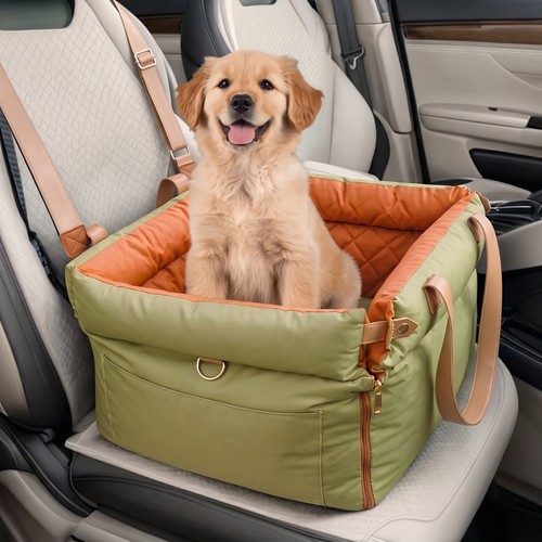 Small dog car - dog, seat