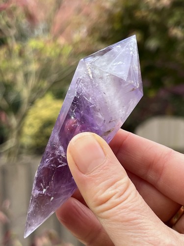 Amethyst purple sided vogel - purple, 12