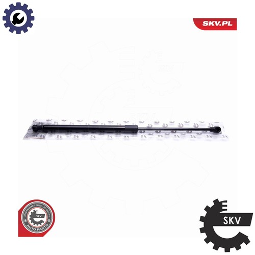 Gas spring bootcargo area - gas,