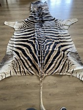 Zebra Real Skin Rug Hide Large