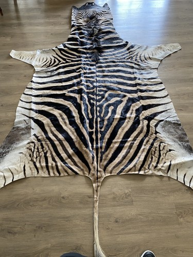Zebra real skin - zebra, rug