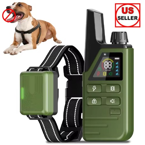 Dog shock collar - shock,