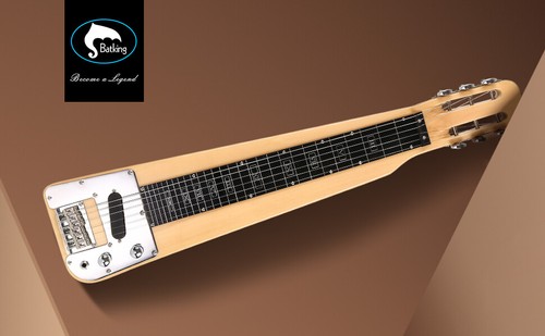 Brand new lap steel - steel, string