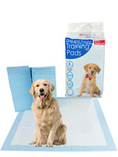 50 Large Puppy Training