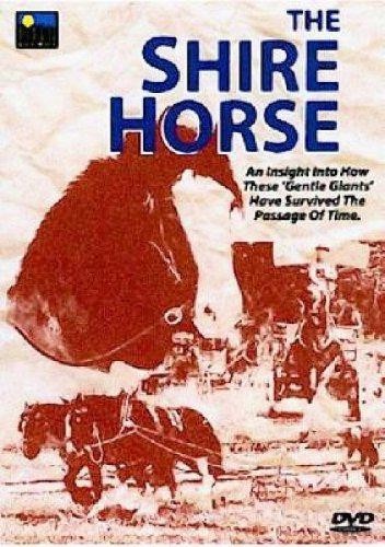 The shire horse dvd - the,