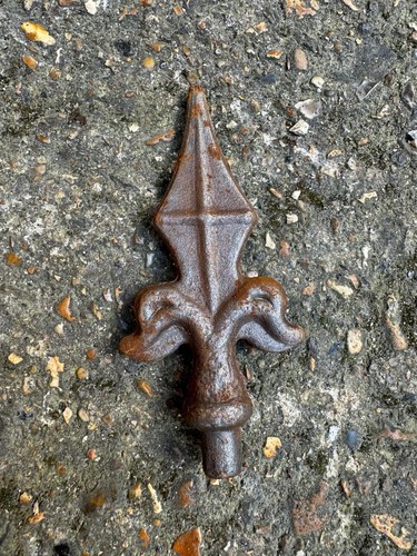 100 cast iron fleur lys - x, de