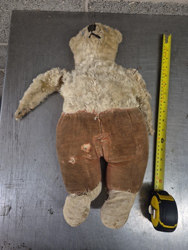 Teddy bear non - bear,