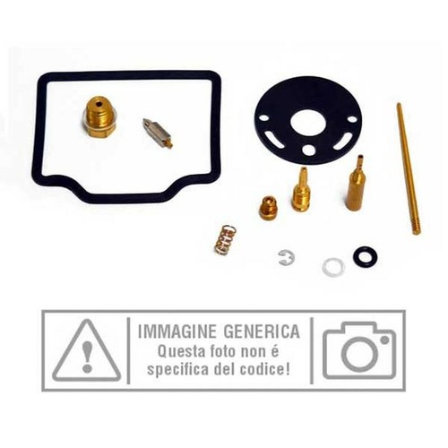 Carburetor revision kit for - kit,