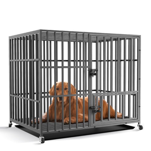 Bingopaw heavy duty pet - duty,