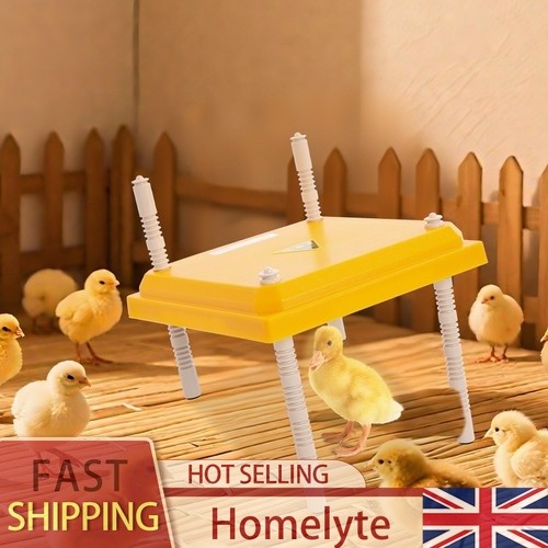 Chick brooder heating plate - chick,