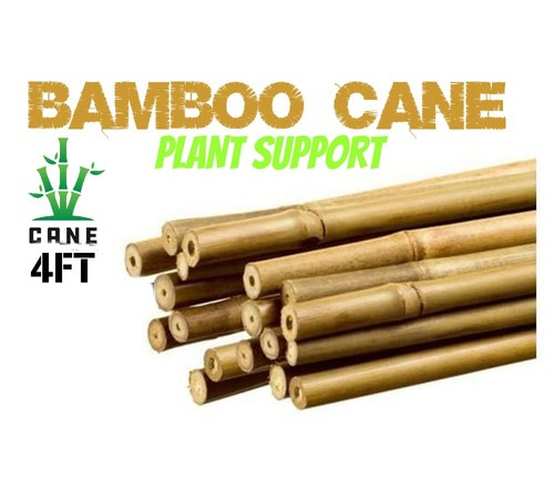 4ft bamboo garden canes heavy - bamboo,