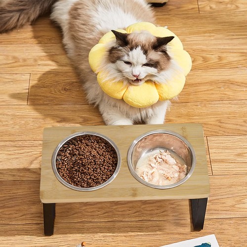 Dog cat bowl elevated raised - bowl,