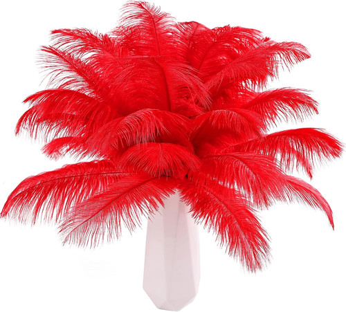 Red ostrich feathers 12pcs - red,
