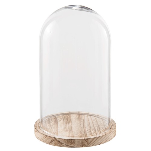 Small glass display bell jar - display,