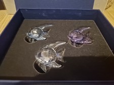 Swarovski Crystal SET OF 3 ANGEL FISH 1043243 Blue Purple Clear Boxed Rare