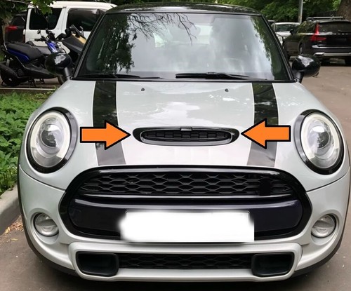Gloss black bonnet - black, raised