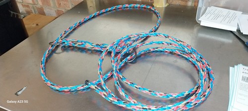 Rope halter head collar - halter,
