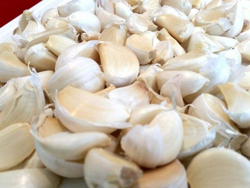 Large garlic cloves seeds - 15,