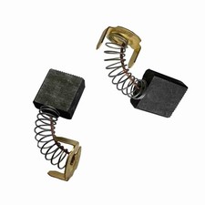 Carbon Brushes For Evolution