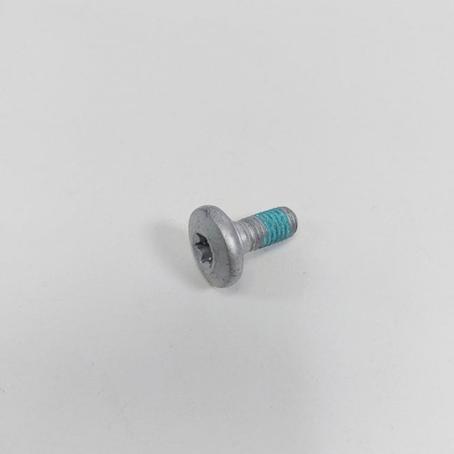 Ktm genuine special screw - screw,