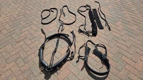 Pony size black - webbing, horse