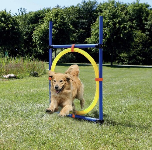 Agility hoop jump training set - jump,