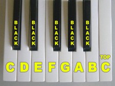 ROLAND JD-800, U-20, D-70, KR-55, SK-7X Replacement Key **Read Description**