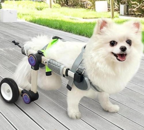 Adjustable dog wheelchair for - adjustable,