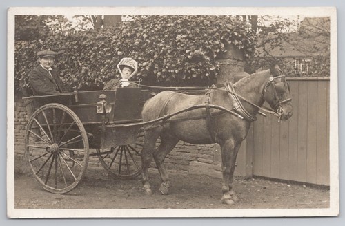 Rppc couple pony trap - pony, man