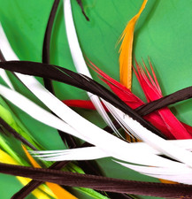 Premium Coloured Goose Biots