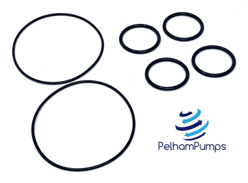 Stuart turner ring seal kit - turner,