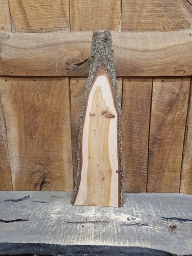 Cedar slab live - cedar,