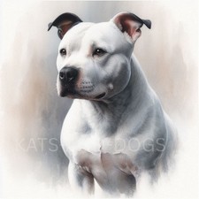 STAFFY STAFFORDSHIRE Bull