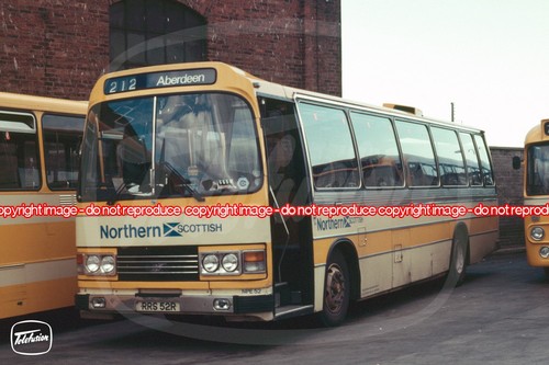 Bus photo northern - bus,