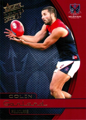 2015 melbourne demons afl - melbourne,