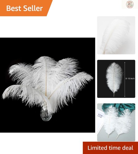 Natural 24pcs white - 24pcs,