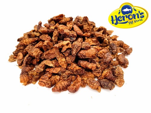 Herons natural dried silkworm - natural,