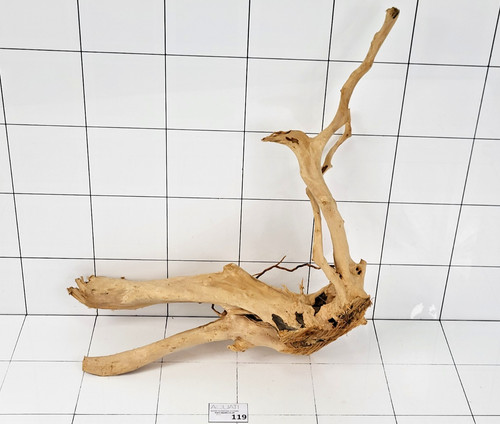 Premium aquarium natural wood - aquarium,