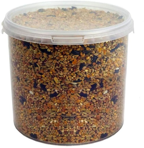 Wild bird seed - bird, in