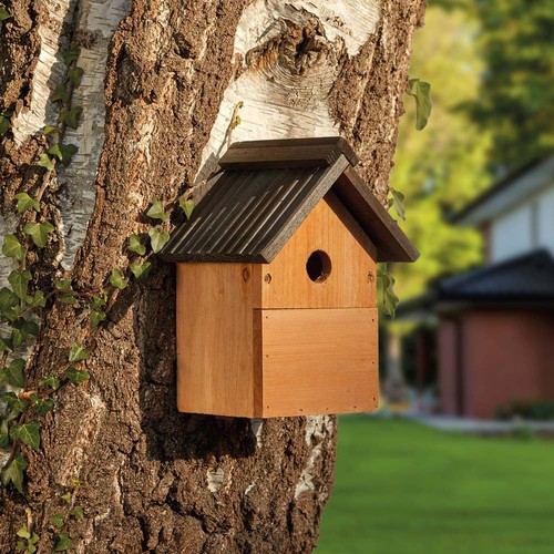 Wild bird nesting box house - wild,