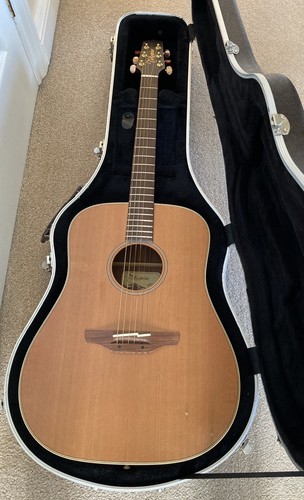 Takamine an10 acoustic guitar - an10,