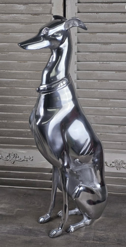 Whippet sitting greyhound - whippet,