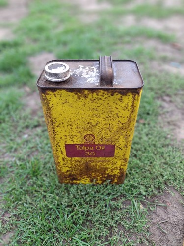 Old vintage shell - vintage, talpa