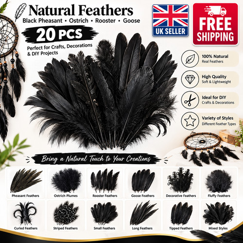 20pcs black pheasant feathers - 20pcs,