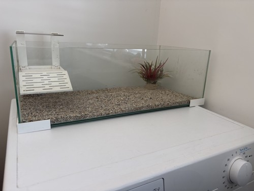 Ciano tartariums turtle - tartariums,