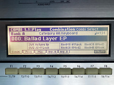 KORG TRITON LE61 LE76 LE88 replacement screen LCD GLASS display NEW !!!