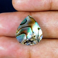 11.8Cts. 100% Natural PAUA